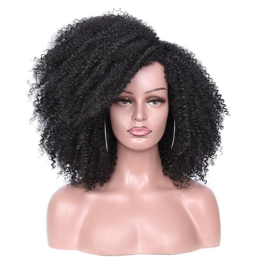 Vanlov Hair-Vanlov Short Black Afro Kinky Curly Wig for Black Women Short Curly Afro Wigs Natural Human Hair Afro Kinky Curly Wigs with Natural Hairline